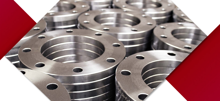 ASTM A182 F304L Flanges